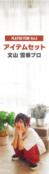 ランキング｜フェニックスダーツ｜ PHOENIXDARTS