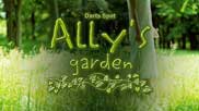 Ally's garden